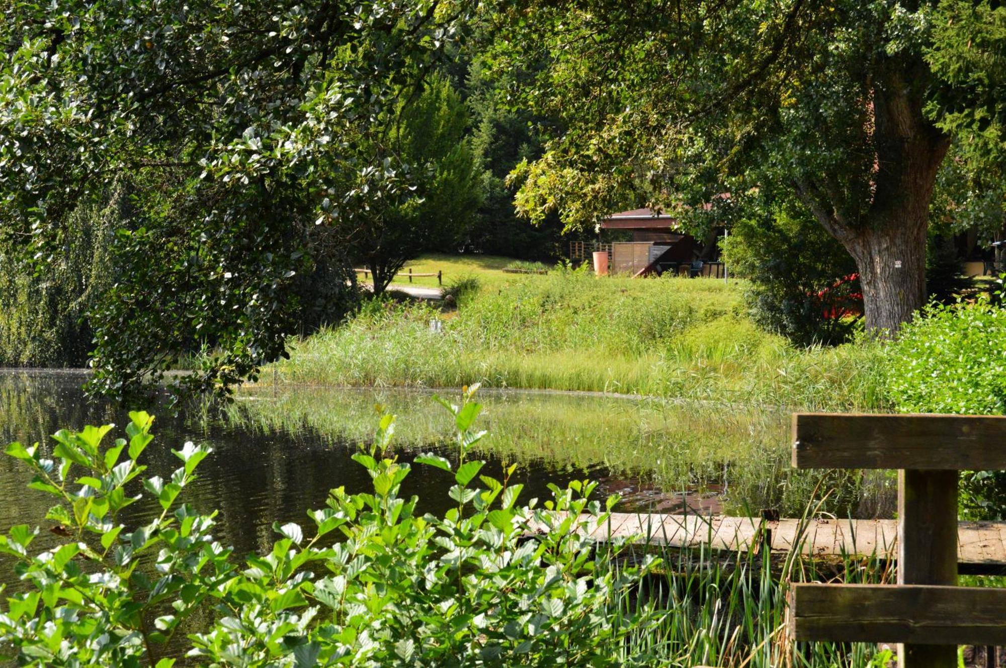 Le Gite De L'Ecureuil Sturzelbronn Exteriér fotografie