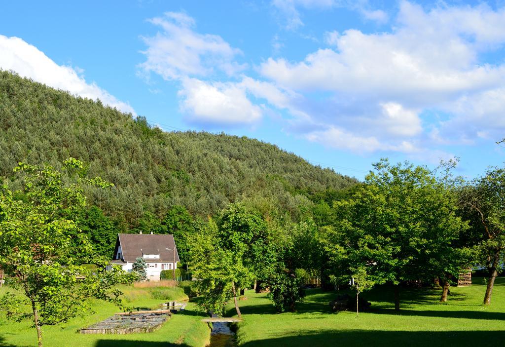 Le Gite De L'Ecureuil Sturzelbronn Exteriér fotografie